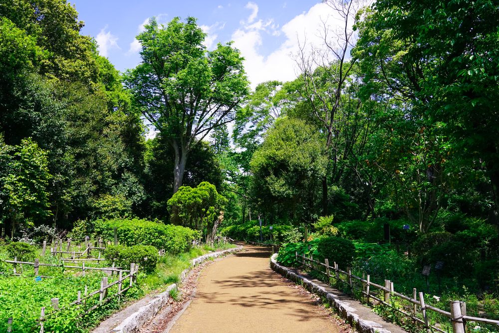 神奈川県立東高根森林公園の画像 - 4枚目