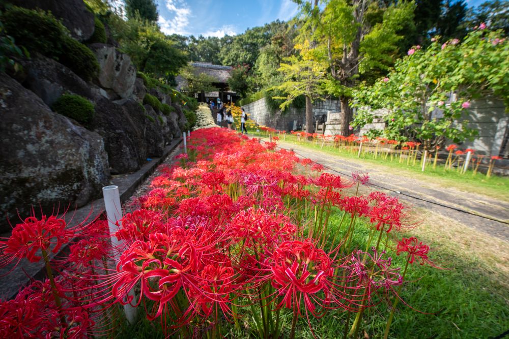 西方寺の画像 - 3枚目
