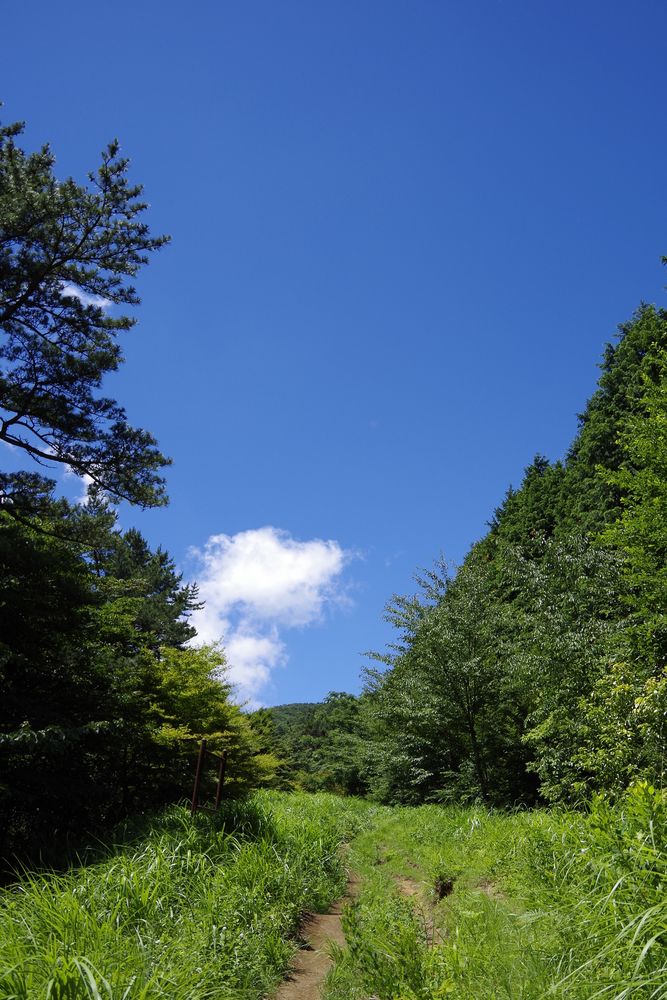 明神ヶ岳の画像 - 2枚目