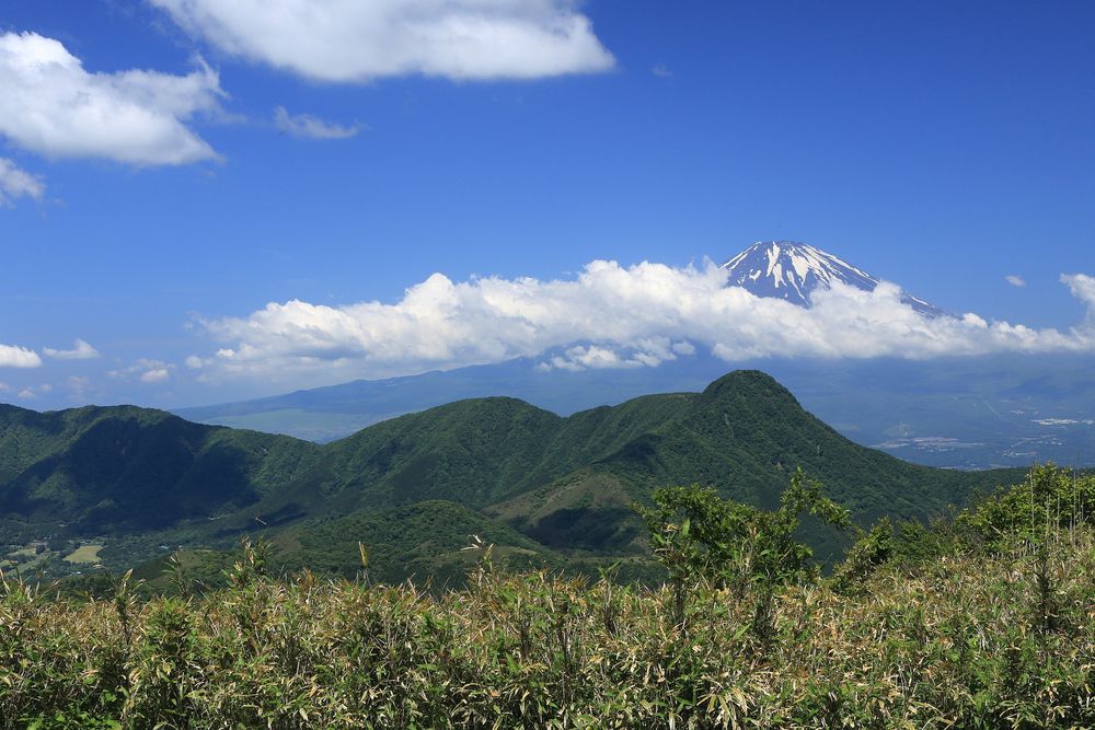 明神ヶ岳の画像 - 3枚目