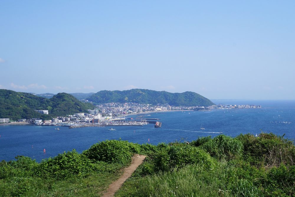 大崎公園の画像 - 3枚目