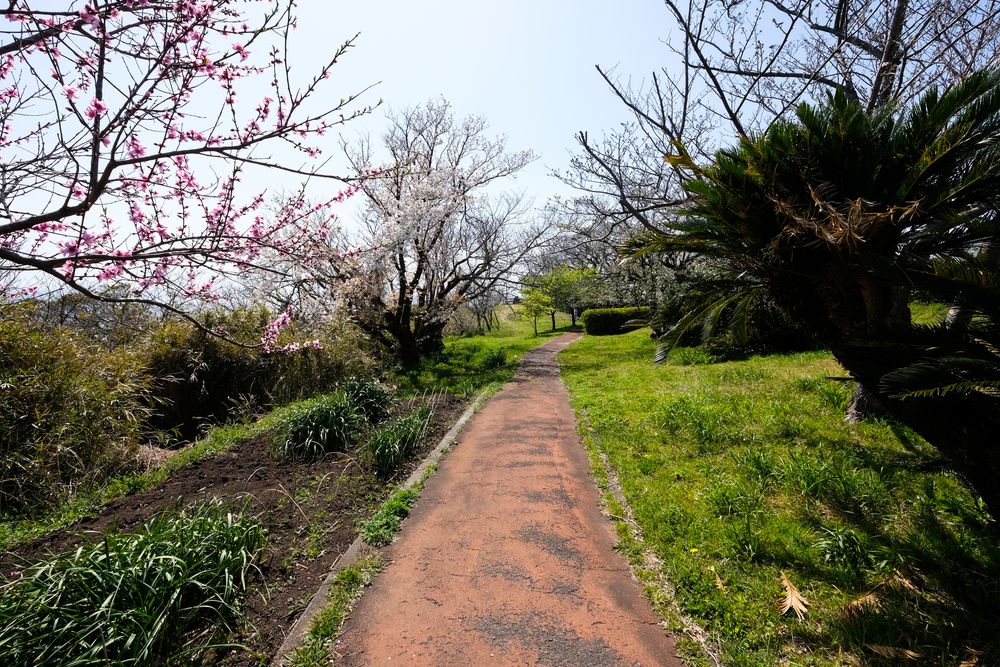 大崎公園の画像 - 4枚目