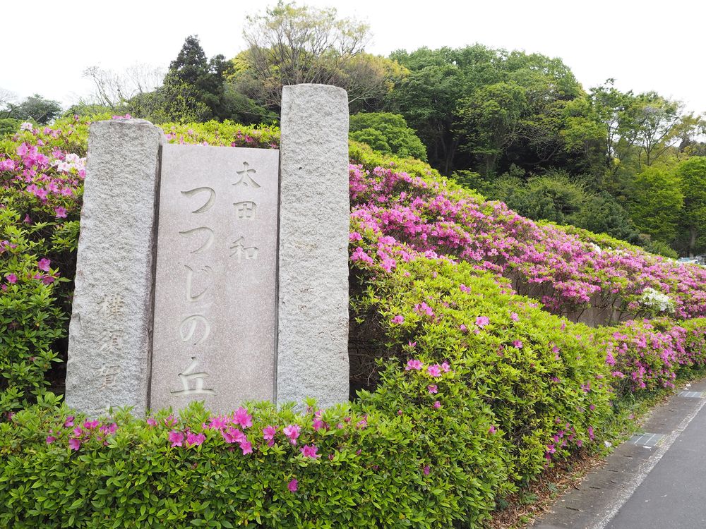 太田和つつじの丘
