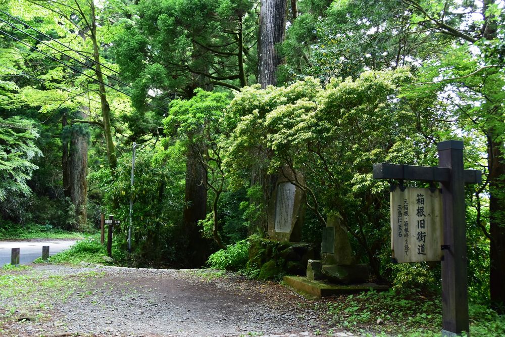 旧東海道 箱根宿の杉並木の画像 - 5枚目