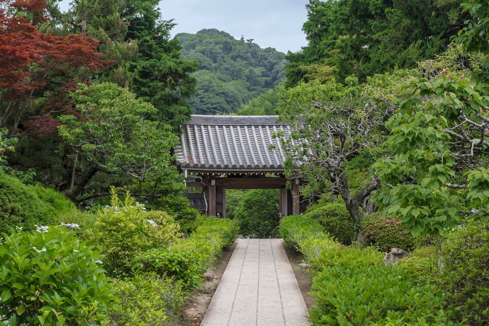 浄妙寺の画像 - 2枚目