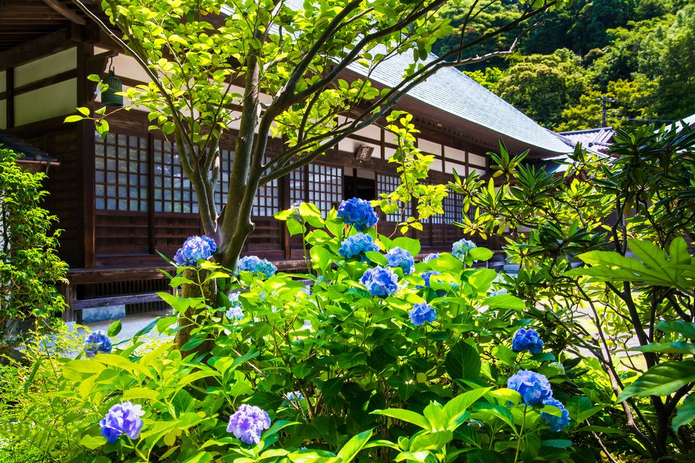 浄妙寺の画像 - 4枚目