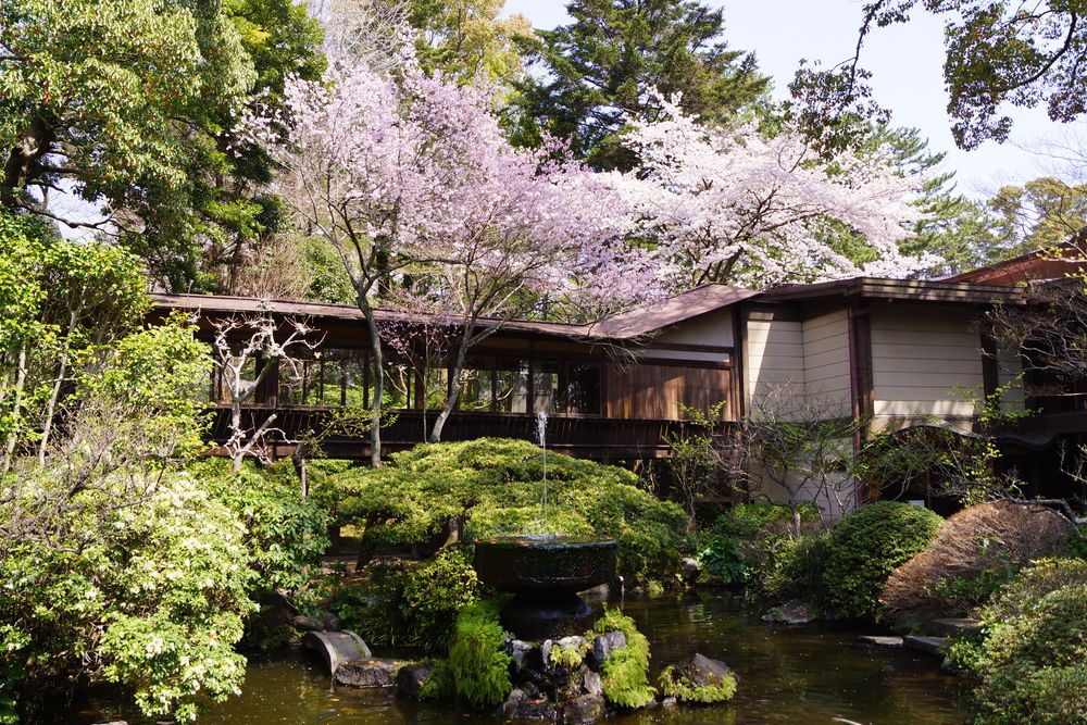 報徳二宮神社の画像 - 2枚目