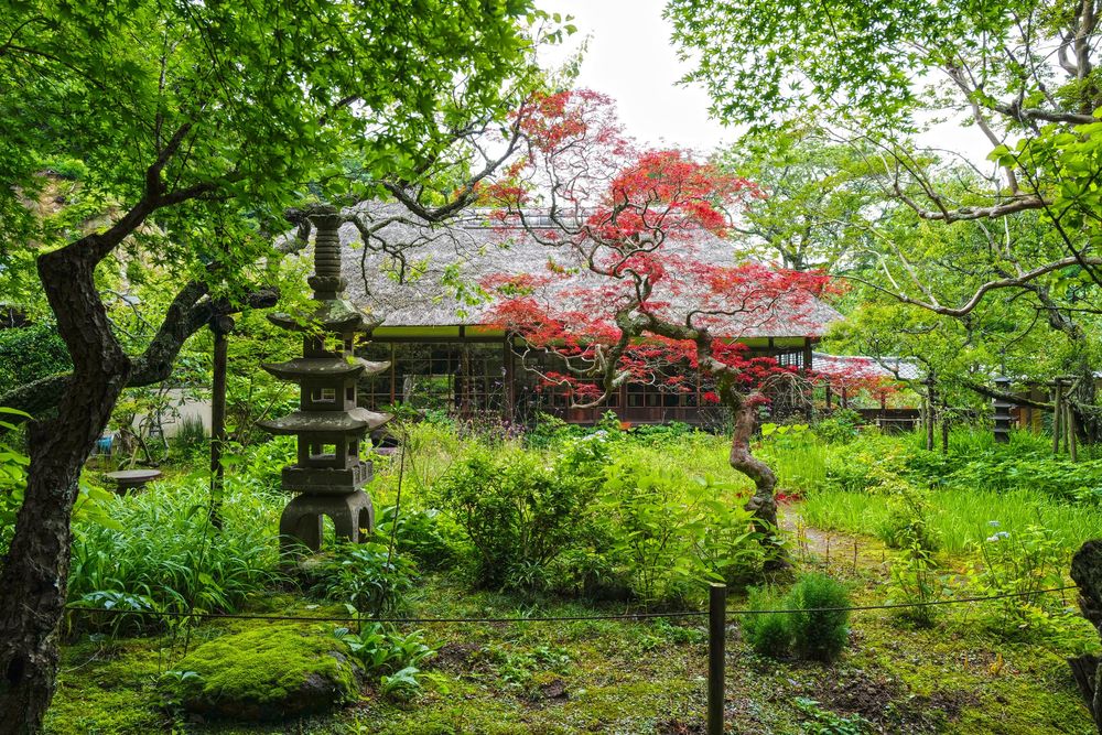 浄智寺の画像 - 3枚目