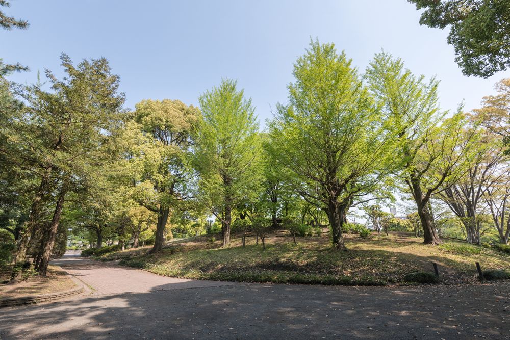 鹿沼公園の画像 - 4枚目