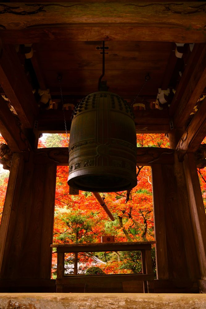 大雄山最乗寺の画像 - 2枚目
