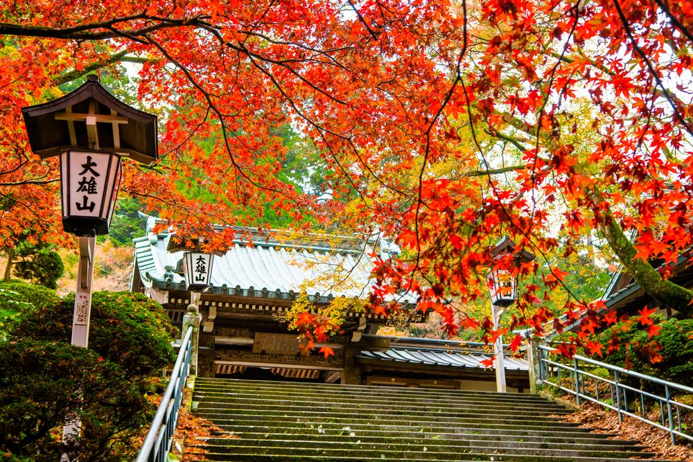 大雄山最乗寺の画像 - 4枚目