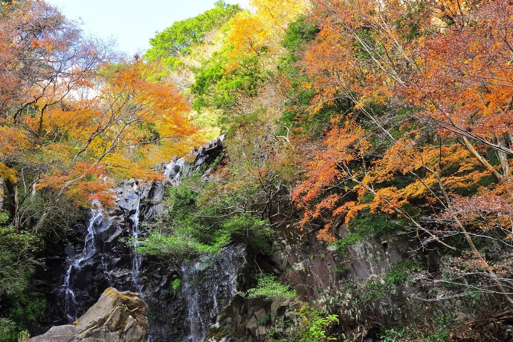飛竜ノ滝の画像 - 2枚目