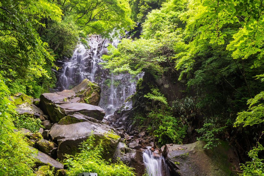 飛竜ノ滝の画像 - 3枚目