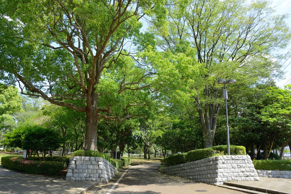 海老名運動公園