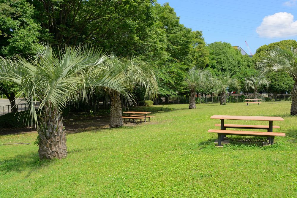 海老名運動公園の画像 - 4枚目
