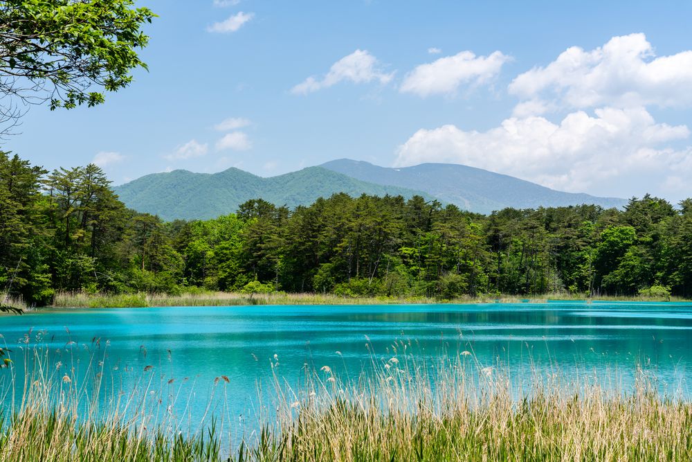 五色沼湖沼群の画像 - 2枚目