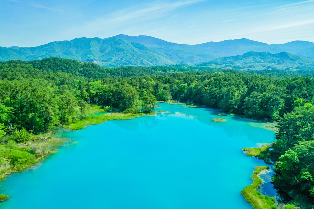 五色沼湖沼群の画像 - 3枚目