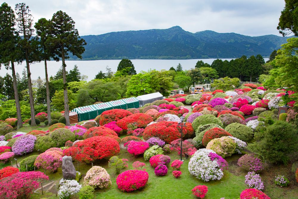 山のホテル 庭園の画像 - 2枚目