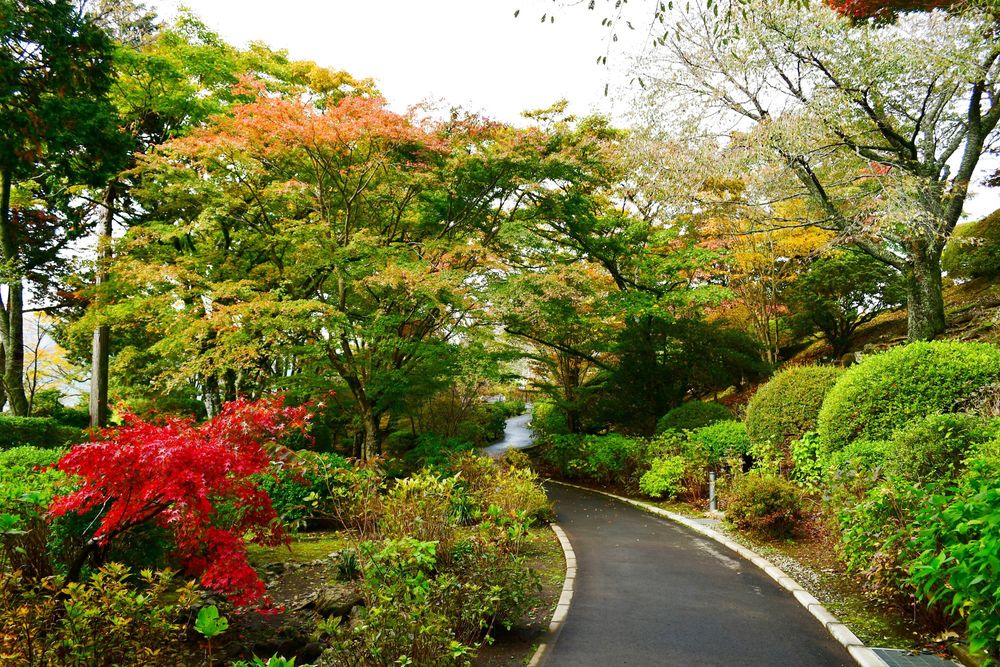 山のホテル 庭園の画像 - 3枚目
