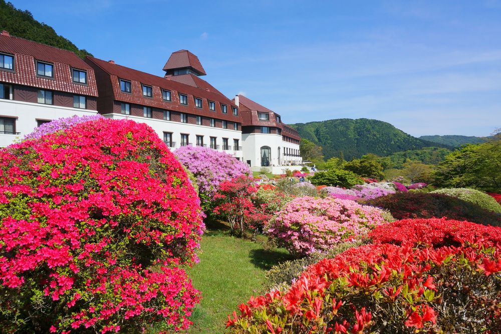 山のホテル 庭園の画像 - 4枚目