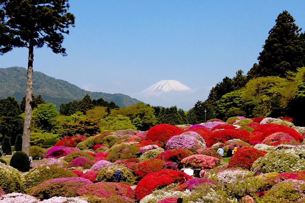 山のホテル 庭園の画像 - 5枚目