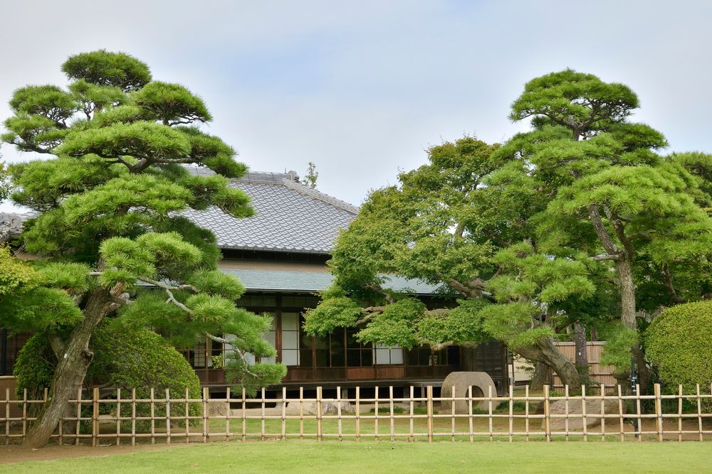 旧堀田邸(さくら庭園)の画像 - 4枚目