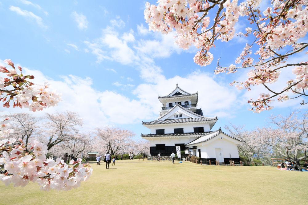 館山城（八犬伝博物館）の画像 - 2枚目