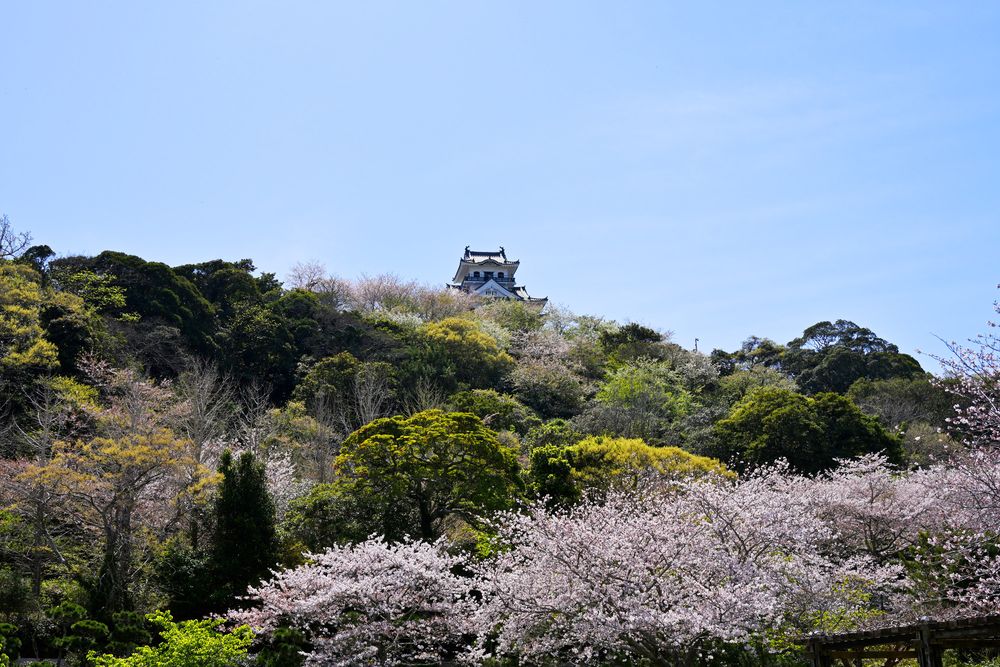 館山城（八犬伝博物館）の画像 - 5枚目