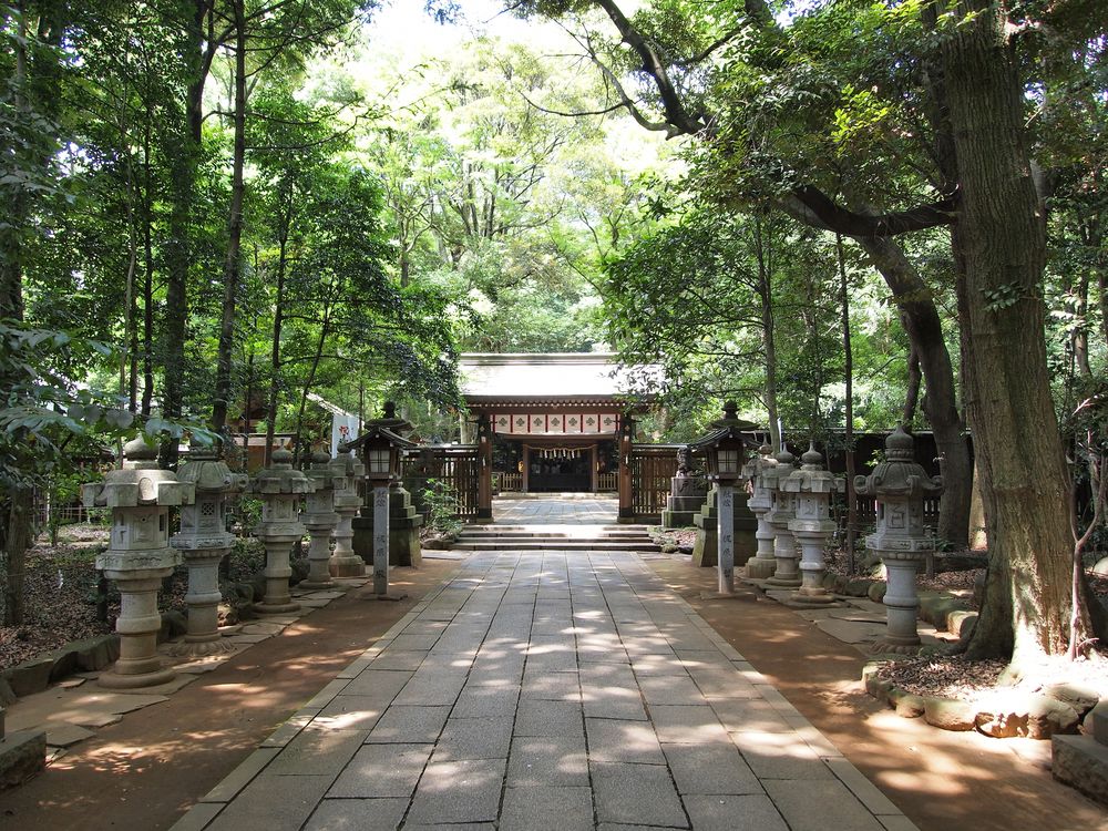 駒木諏訪神社の画像 - 5枚目