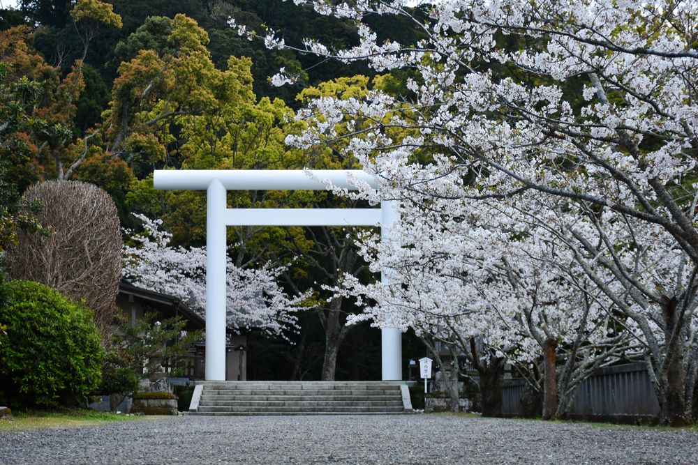 安房神社の画像 - 3枚目