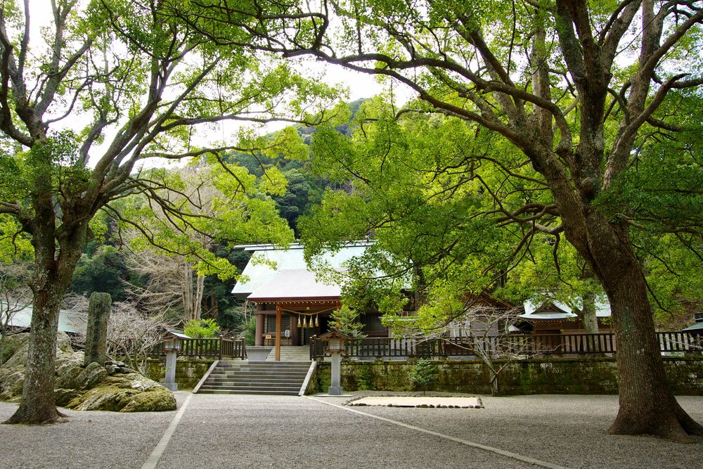 安房神社の画像 - 4枚目