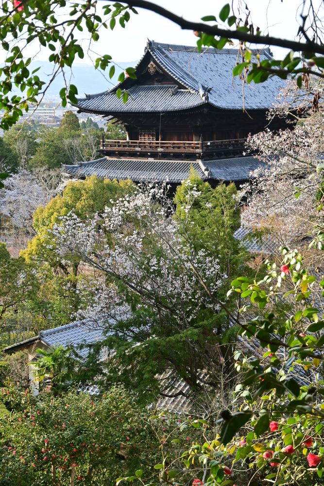 南禅寺の画像 - 5枚目