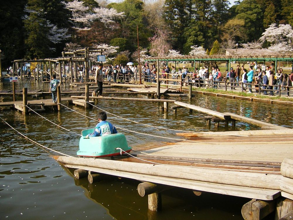 清水公園フィールドアスレチックの画像 - 3枚目