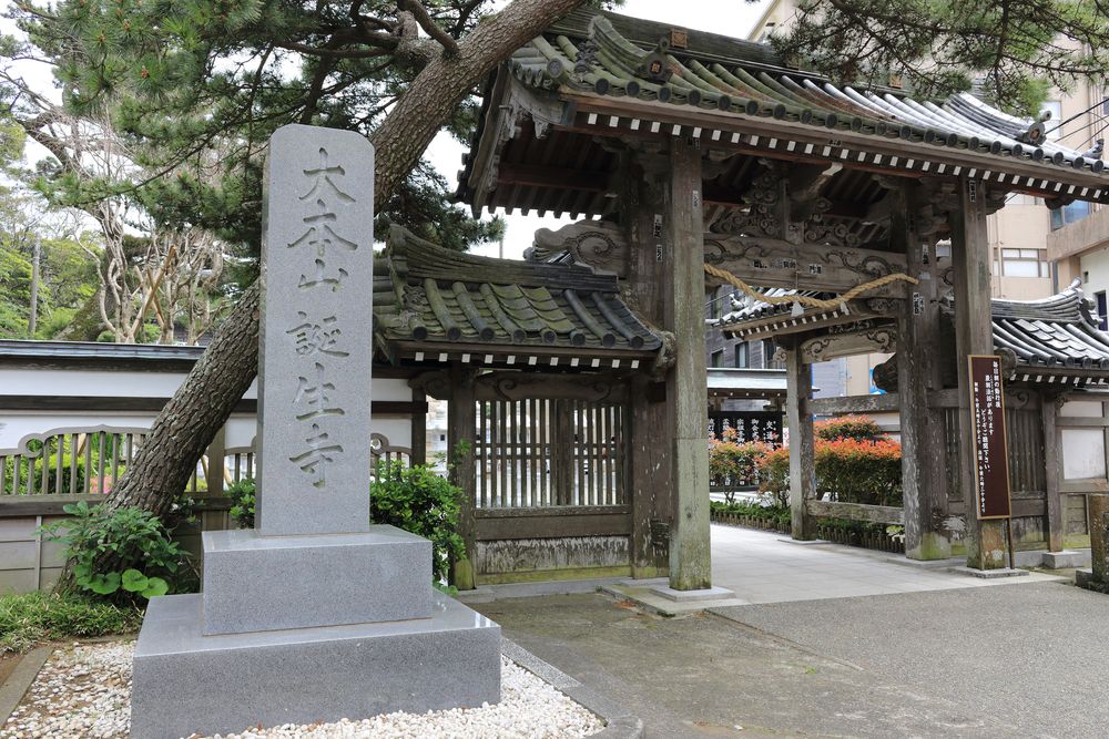 誕生寺の画像 - 3枚目