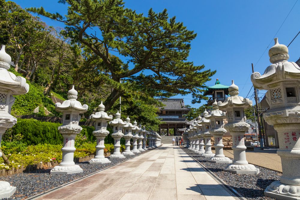 誕生寺の画像 - 4枚目