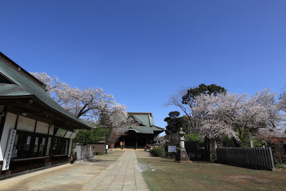 東勝寺（宗吾霊堂）の画像 - 5枚目