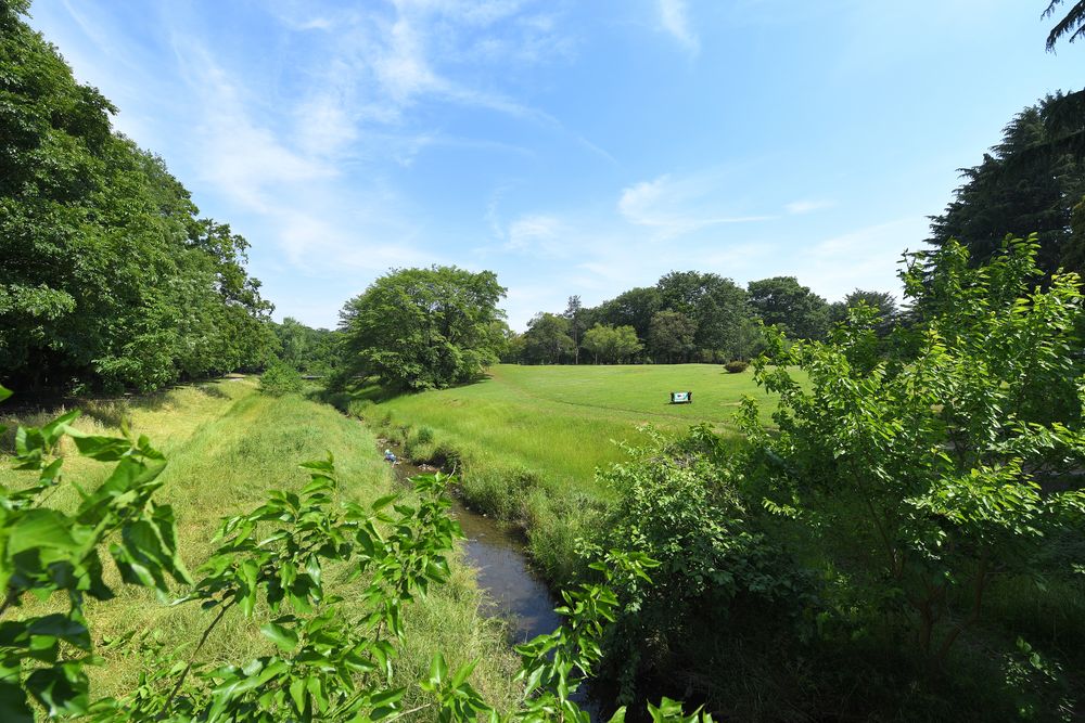 野川公園