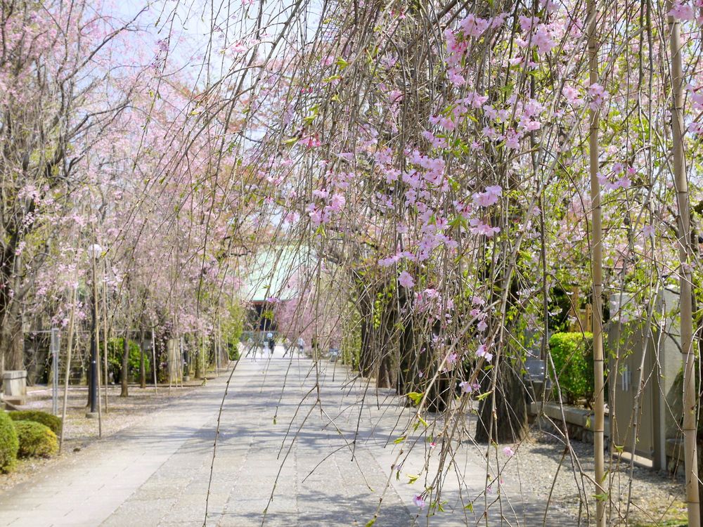 吉祥寺の画像 - 2枚目