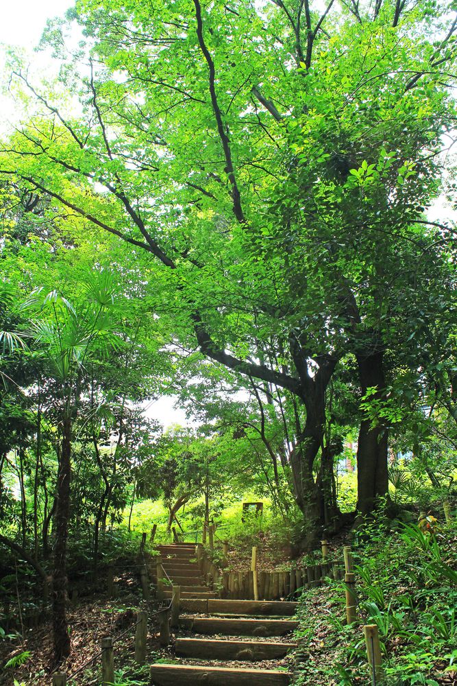占春園の画像 - 2枚目