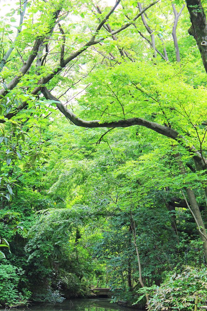 占春園の画像 - 3枚目