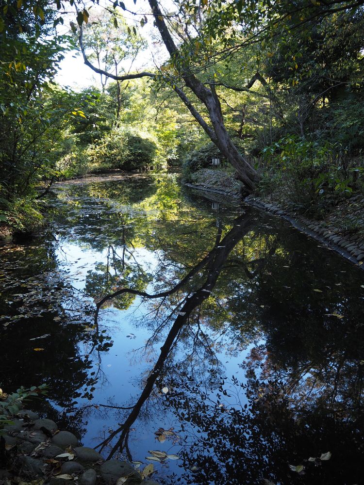 占春園の画像 - 4枚目