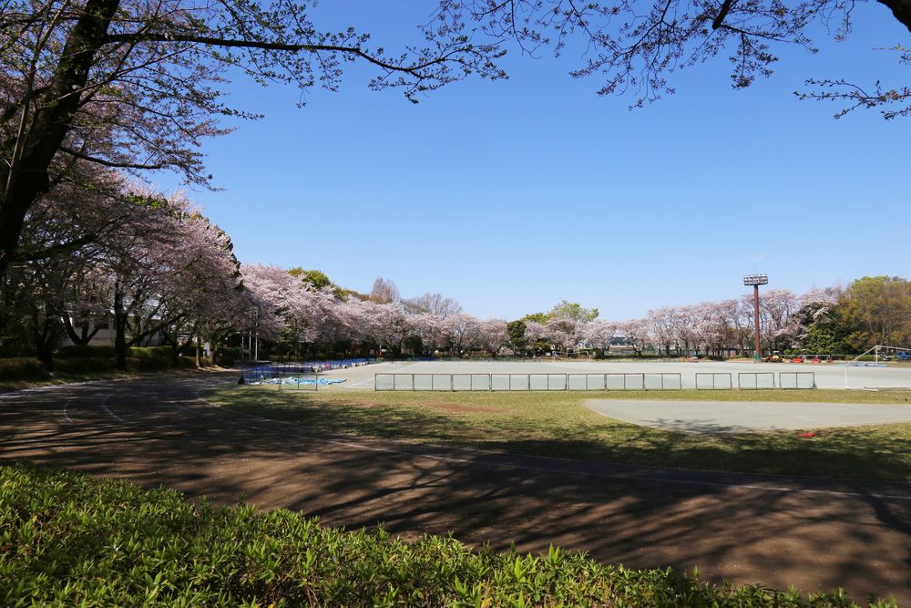 小平中央公園の画像 - 2枚目
