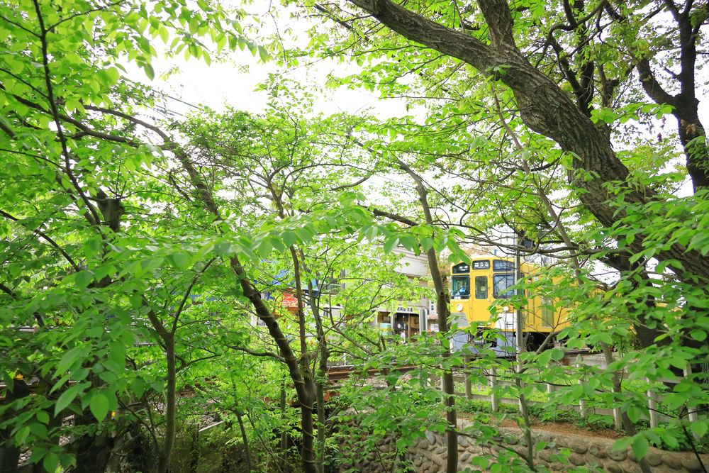 小平中央公園
