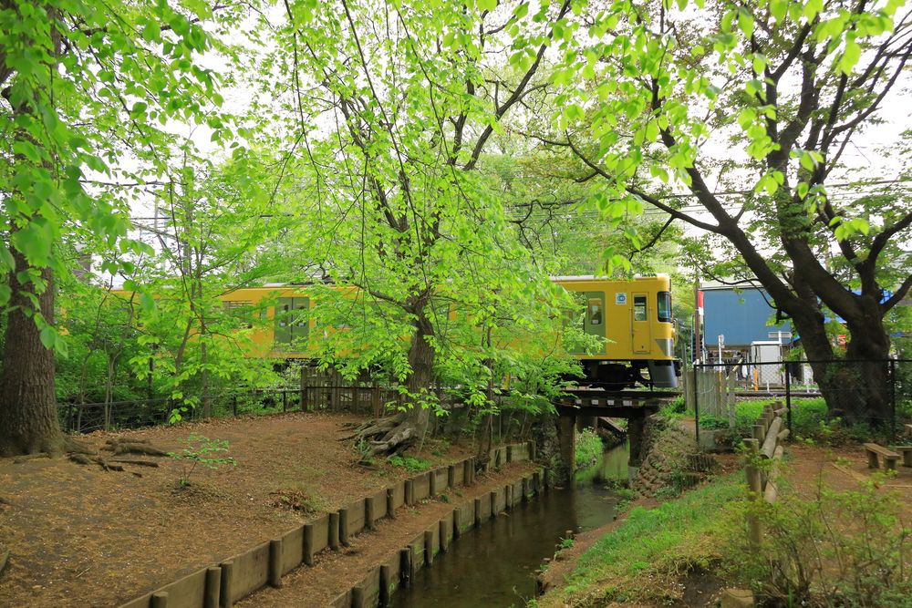 小平中央公園の画像 - 3枚目