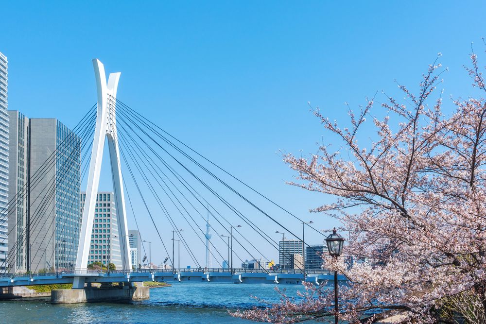 中央大橋の画像 - 2枚目