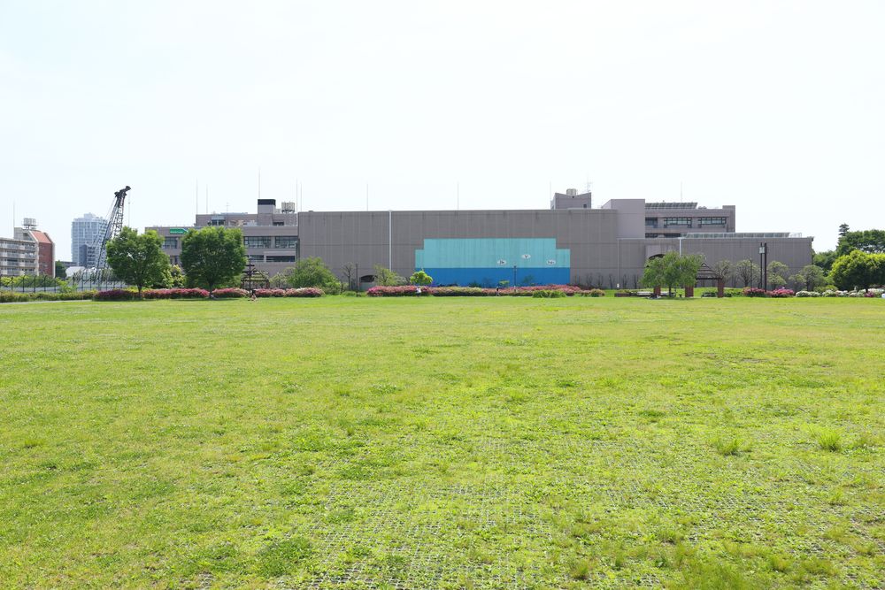 中野区立 平和の森公園の画像 - 2枚目