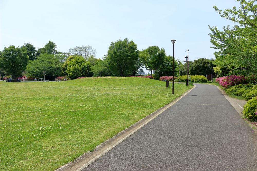 中野区立 平和の森公園の画像 - 3枚目