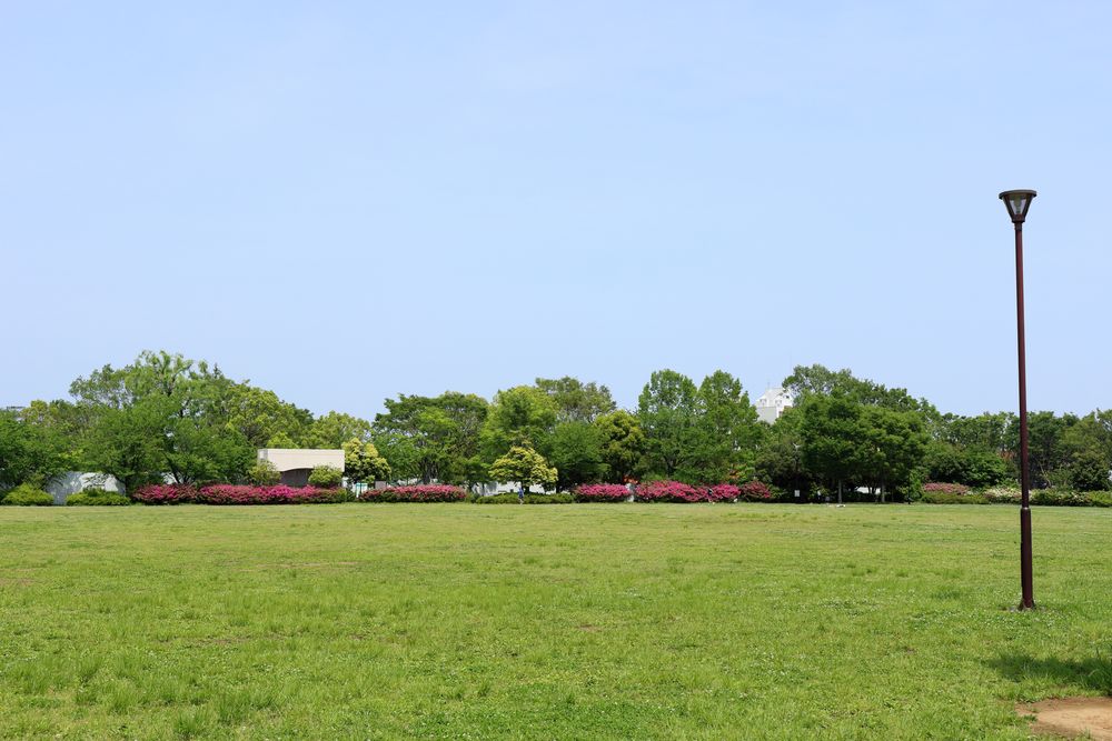 中野区立 平和の森公園