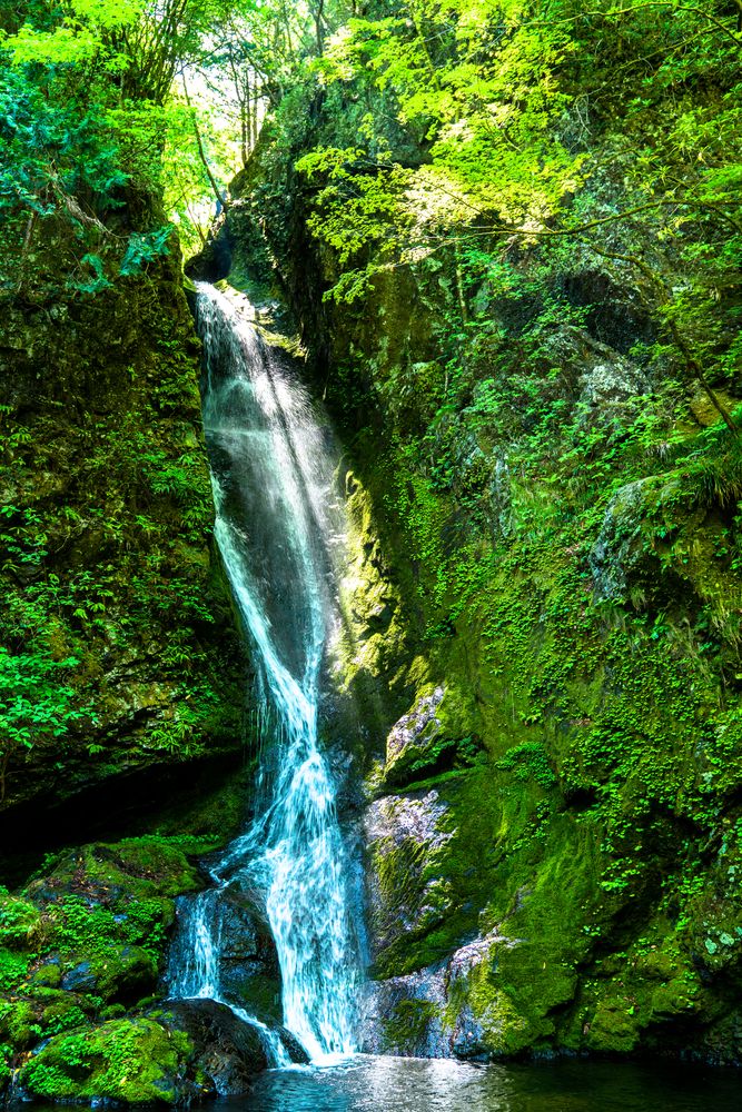 大滝の画像 - 2枚目