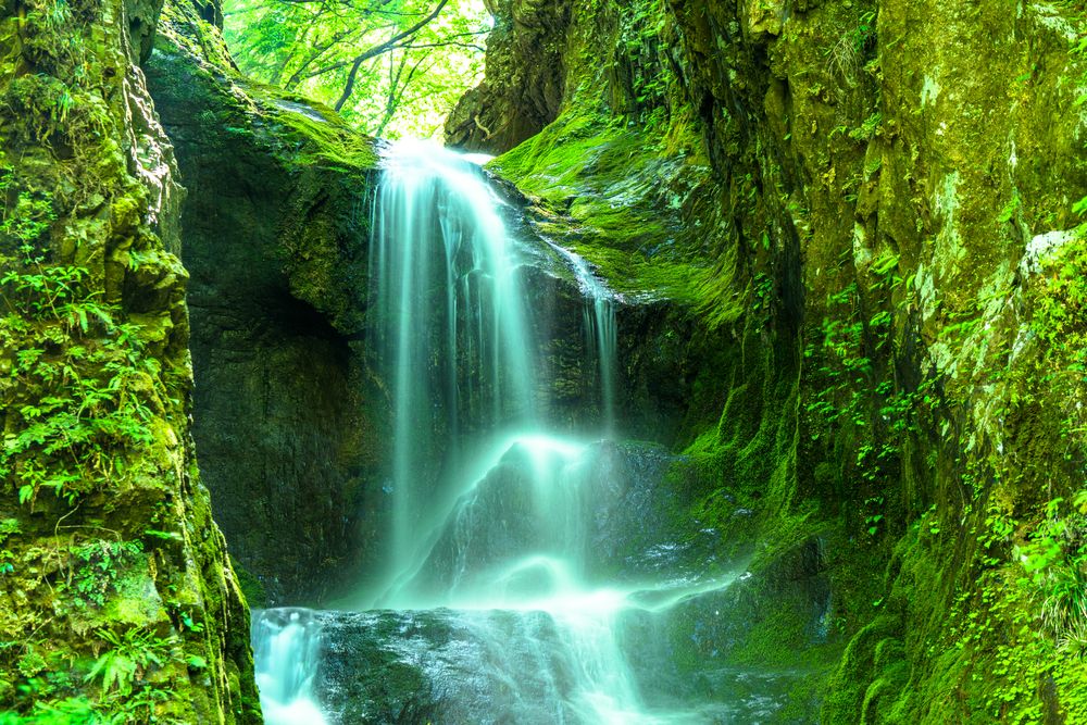 大滝の画像 - 3枚目